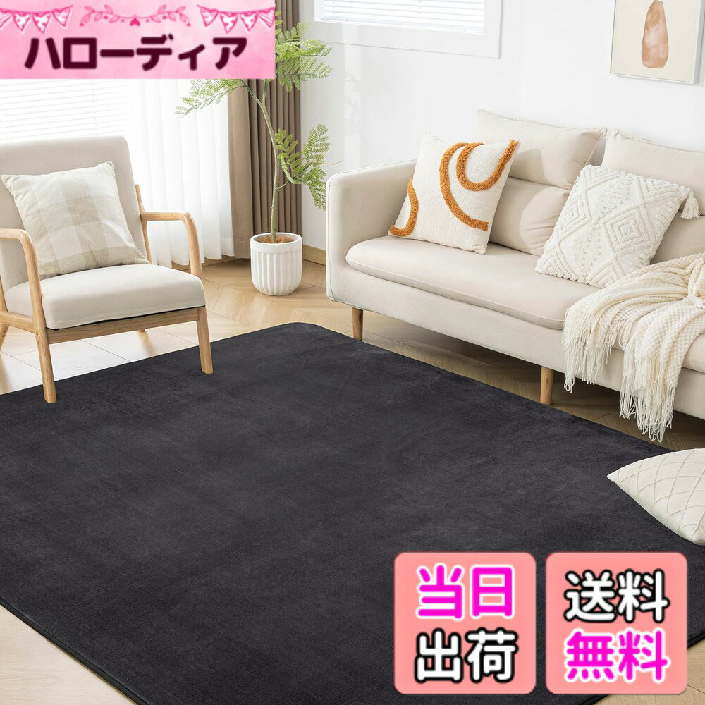 商品情報商品の説明主な仕様 【低反発カーペット】厚さ約15mmの低反発ラグマットは、ふんわりとした踏み心地で、底付き感を感じることなくゆったりとリラックスできます。体圧をバランスよく分散するため、長時間座っていても疲れにくい設計です。ウレタンクッションによる防音効果も抜群で、物の落下音や足音など、床から階下へ伝わる騒音を軽減し、防音ラグとして、快適な暮らしをサポートします。【オールシーズン対応】絨毯表面は、細く柔らかなフランネル生地を高密度に敷き詰めることで、さらさらとしたふわふわの肌触りを実現します。極細マイクロファイバーを使用しているため、軽量で保温性・速乾性に優れており、夏はサラッと、冬はあたたかくお使いいただけます。床暖房やホットカーペットにも対応し、底冷えする季節でも足元をぽかぽかと温かく保ちます。【滑り止め・抗菌・防ダニ加工】衛生的にお使いいただけるよう、抗菌・防臭・防ダニ加工を施しています。ラグの裏面にはゴム製の滑り止め加工を施し、フローリングに敷いても滑りにくく安心です。また、ノンホルム仕様なので、お年寄りやお子様、ペットがいるご家庭でも安全にお使いいただけます。【お手入れ簡単】毛足の長さは約4mmの短毛ラグなので、ゴミやほこりが絡まりにくく、掃除機で簡単にお手入れ可能です。万が一飲み物をこぼしてしまっても、すぐに拭き取れば問題ありません。【ラグ仕様】表地：ポリエステル100%　中材：ウレタンフォーム　裏地：ポリエステル100% 不織布 。サイズ：185x185cm 約2畳。毛足約4mm、ノンスリップ不織布約1mm、ウレタン 約10mm、全厚さ約15mmです。