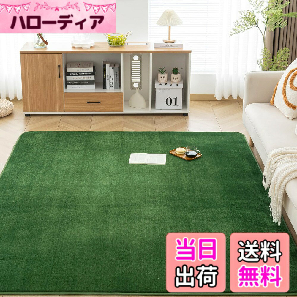 商品情報商品の説明主な仕様 【低反発カーペット】厚さ約15mmの低反発ラグマットは、ふんわりとした踏み心地で、底付き感を感じることなくゆったりとリラックスできます。体圧をバランスよく分散するため、長時間座っていても疲れにくい設計です。ウレタンクッションによる防音効果も抜群で、物の落下音や足音など、床から階下へ伝わる騒音を軽減し、防音ラグとして、快適な暮らしをサポートします。【オールシーズン対応】絨毯表面は、細く柔らかなフランネル生地を高密度に敷き詰めることで、さらさらとしたふわふわの肌触りを実現します。極細マイクロファイバーを使用しているため、軽量で保温性・速乾性に優れており、夏はサラッと、冬はあたたかくお使いいただけます。床暖房やホットカーペットにも対応し、底冷えする季節でも足元をぽかぽかと温かく保ちます。【滑り止め・抗菌・防ダニ加工】衛生的にお使いいただけるよう、抗菌・防臭・防ダニ加工を施しています。ラグの裏面にはゴム製の滑り止め加工を施し、フローリングに敷いても滑りにくく安心です。また、ノンホルム仕様なので、お年寄りやお子様、ペットがいるご家庭でも安全にお使いいただけます。【お手入れ簡単】毛足の長さは約4mmの短毛ラグなので、ゴミやほこりが絡まりにくく、掃除機で簡単にお手入れ可能です。万が一飲み物をこぼしてしまっても、すぐに拭き取れば問題ありません。【ラグ仕様】表地：ポリエステル100%　中材：ウレタンフォーム　裏地：ポリエステル100% 不織布 。サイズ：200x300cm 約4.5畳。毛足約4mm、ノンスリップ不織布約1mm、ウレタン 約10mm、全厚さ約15mmです。