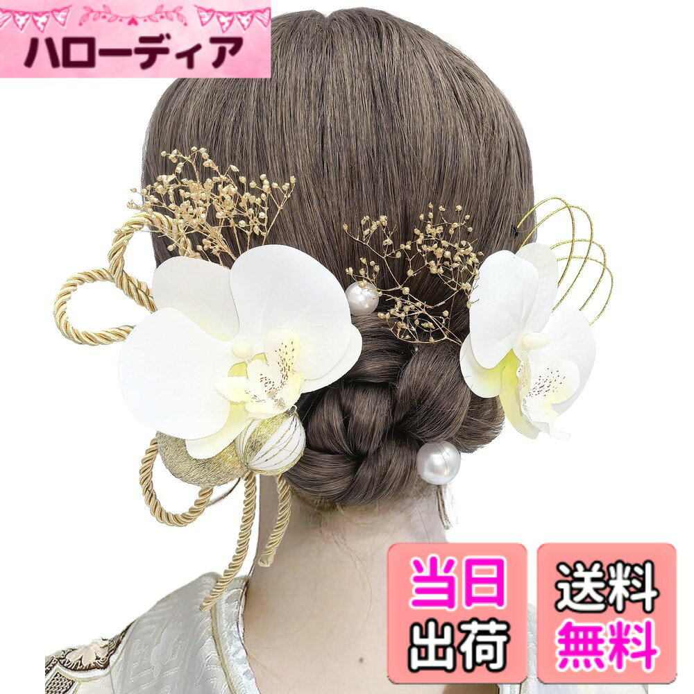 【送料無料】[JZOON] 成人式 髪飾り 胡蝶蘭 ドライフラワー ダリア コチョウラン あじさい 和玉 白 ホワイト 水引 七五三 浴衣 袴 着物 飾り 振袖 和装 卒業式 結婚式 ウェディング 花 かわいい 手作り 専用ケース付き 色：白 C