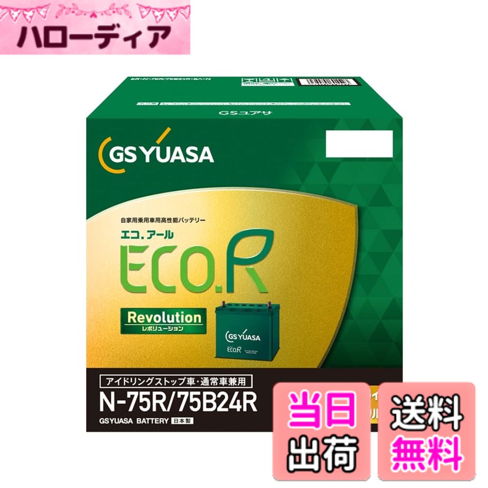 【送料無料】ECO R Revlolution サイズ：B24