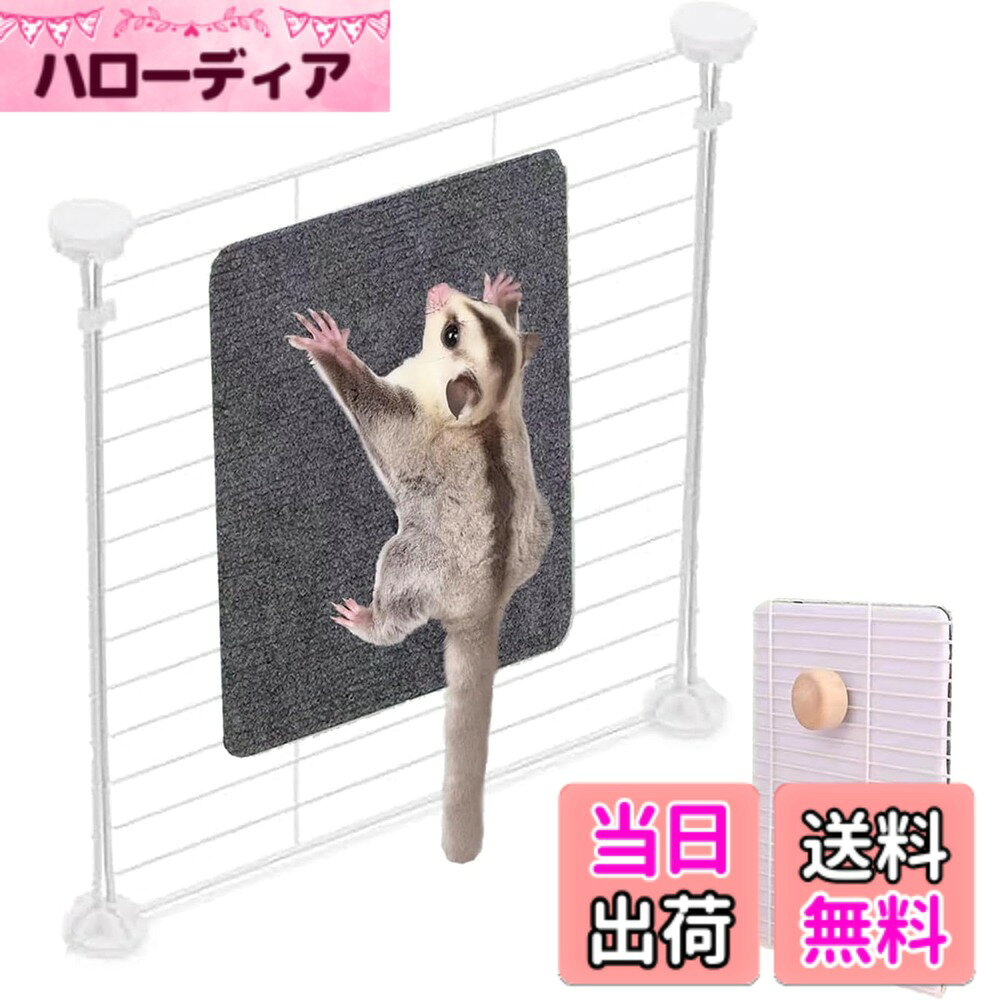 【送料無料】Refoiner モモンガ 爪研ぎ ケージ用フクロモモンガ おもちゃ爪研ぎマット デグー チンチラ ステップ多機能ひっかき防止シート ネイルケア 爪とぎ ハムスター 遊び道具 運動不足ストレス解消 小動物 飼育ケージ内装 色：ダークグレー