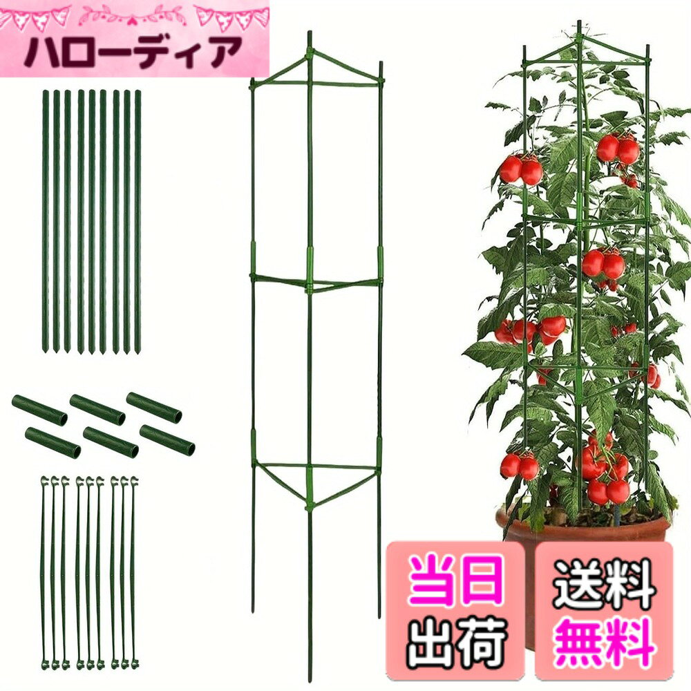 商品情報 商品の説明 商品の説明 安全警告 慎重に取り扱ってください。尖った先端は刺傷の原因になります。地中に埋める際は地下のインフラを損傷する可能性があります。適切に固定してください。また、プラスチックと金属でできているため、過度な熱や特定の化学物質との接触を避けてください。 主な仕様 【商品仕様】素材：プラスチック+鋼。パッケージ内容：支柱*18個、クロスバー*18個、接続パイプ*12個 # 【送料無料】TVETE 園芸支柱 植物支柱 トマト栽培 スライドしちゅう 観葉はしら 花しちゅう トマトはしら 誘引 花支え 三角形 植物サポート ガーデニング用しちゅう つる性植物 組立式 調節可能 観葉植物 はしら棚 植物を育てる際、支柱の安定性や使い勝手で困ったことはありませんか？特にトマトや観葉植物などつる性植物には、しっかりした支えが不可欠です。しかし、どの支柱を選ぶべきか迷ってしまう方も多いのではないでしょうか。その悩みを解決するのが、TVETEの園芸支柱です。 この支柱は、調節可能な設計が特徴で、成長に合わせて高さを変えられます。さらに、組立式なので収納も大変簡単です。使い方も何も難しくなく、誰でも安心して利用できます。あなたの植物をしっかり支え、元気に育てる手助けをしてくれるでしょう。 一度使えば、その便利さを実感できるはずです。家庭菜園やガーデニングを始める方にも、自分の植物を愛情込めて育てられる絶好のアイテムです。今こそ、自分の『緑の手』を育ててみませんか？ ## 高さ調節機能で成長に対応 TVETEの園芸支柱最大の特長は、高さ調整が可能なことです。植物は成長するにつれて必要な支えの高さも変わってきますが、この支柱は成長に合わせて簡単に調節できます。特にトマトなどのつる性植物は、密な蔓が成長するため、支柱の高さが変わるのは大変重要です。 支柱は、地面にしっかりと打ち込む仕様になっており、安定感も抜群です。支柱のトップ部分に植物をしっかり固定すると、風や雨の強い日でも安心です。もし支柱が不安定なら、植物も一緒に倒れてしまうことがあるため、その点がクリアされているのは重要です。 また、組立式なので、必要に応じて支柱を追加したり、抜いたりすることも簡単に行えます。毎年植物を育てる場合、これほど便利な道具はありません。また、組み立ては誰でもできるように設計されているので、特別なスキルや道具も必要ありません。 このように、植物の成長に合わせてしっかりサポートしてくれるTVETEの園芸支柱は、ガーデニング初心者や上級者問わず、幅広い層に支持されている理由の一つです。ぜひ、この機能を体験してみてください。 ## 多用途で楽しめる設計 この園芸支柱は、トマトだけでなく、多様な植物に対応しています。観葉植物や花卉、さらには柚子や葡萄など様々な植物を支えるために使えます。特に、観葉植物の支持として利用する際は、その美しさを引き立てるデザインでもあるため、インテリアとしても優れています。 また、施工も難しくないので、初心者でも気軽に取り入れられます。支柱を設置する際には、水平を保って植えることが大切ですが、これも簡単に行える設計となっています。また、支柱を利用することで隣接する植物同士が干渉しにくくなるため、健康な育成にもつながります。 さらに、自然の環境に優しい素材で作られており、持続可能なガーデンライフを支援します。プラスチックと鋼の組み合わせは、丈夫さと軽量感を両立させた結果、長期間使用しても劣化しにくいです。独特の三角形設計も支える力を増強し、高い耐久性を証明しています。 こうした点を考慮すると、TVETEの園芸支柱は、ただの道具ではなく、あなたのガーデニングライフを豊かにしてくれるパートナーと言えるでしょう。様々な植物に使えるため、ぜひこの支柱で、よりオリジナリティあふれるガーデンを楽しんでみてください。 ## 使い方と取り扱い注意事項 TVETEの園芸支柱は、非常に使いやすい設計になっておりますが、取り扱いに際していくつかの注意点があります。まず、支柱を設置する際には、尖った先端部分が地面に突き刺さることがありますので、周囲の安全を確認することが重要です。特に家庭内で使用する場合は、場合によっては事故の原因となる可能性があります。 また、プラスチックと金属を使用しているため、過度な熱や化学物質との接触は避けるべきです。特に用土に化学肥料を多く使う場合、長期間そのまま置くことは避けてください。劣化の原因となる可能性があるためです。 さらに、使い終わったらちゃんと掃除し、保管場所を確保しておくことが望ましいでしょう。使わない時期には、しっかりと解体して収納することで、長持ちさせることが可能です。特に、湿気の多い場所での保管は避けてください。湿気は金属部分を錆びさせたり、プラスチック部分を劣化させることがあるためです。 これらの点に注意しながら使用すれば、TVETEの園芸支柱はあなたのガーデニングライフを快適にサポートしてくれることでしょう。ぜひ、安心して使い始めてください。 ## まとめ - TVETEの園芸支柱は、高さ調整が可能で成長に対応。 - 多用途でトマトや観葉植物など様々な植物に最適。 - 簡単に組み立てられ、使い勝手が良い。 - プラスチックと金属の組み合わせで耐久性抜群。 - 使用上の注意点を守れば、安全に長期間利用可能。 この支柱で、あなたの植物を元気に育てましょう。ガーデニングがもっと楽しく、身近に感じられるアイテムです。是非、手に取ってその利便性を体験してみてください。