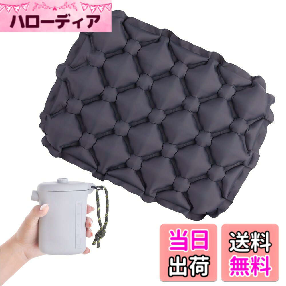 【送料無料】TRIWONDER レジャーシート 1人用 エアークッション 飛行機 快適グッズ...
