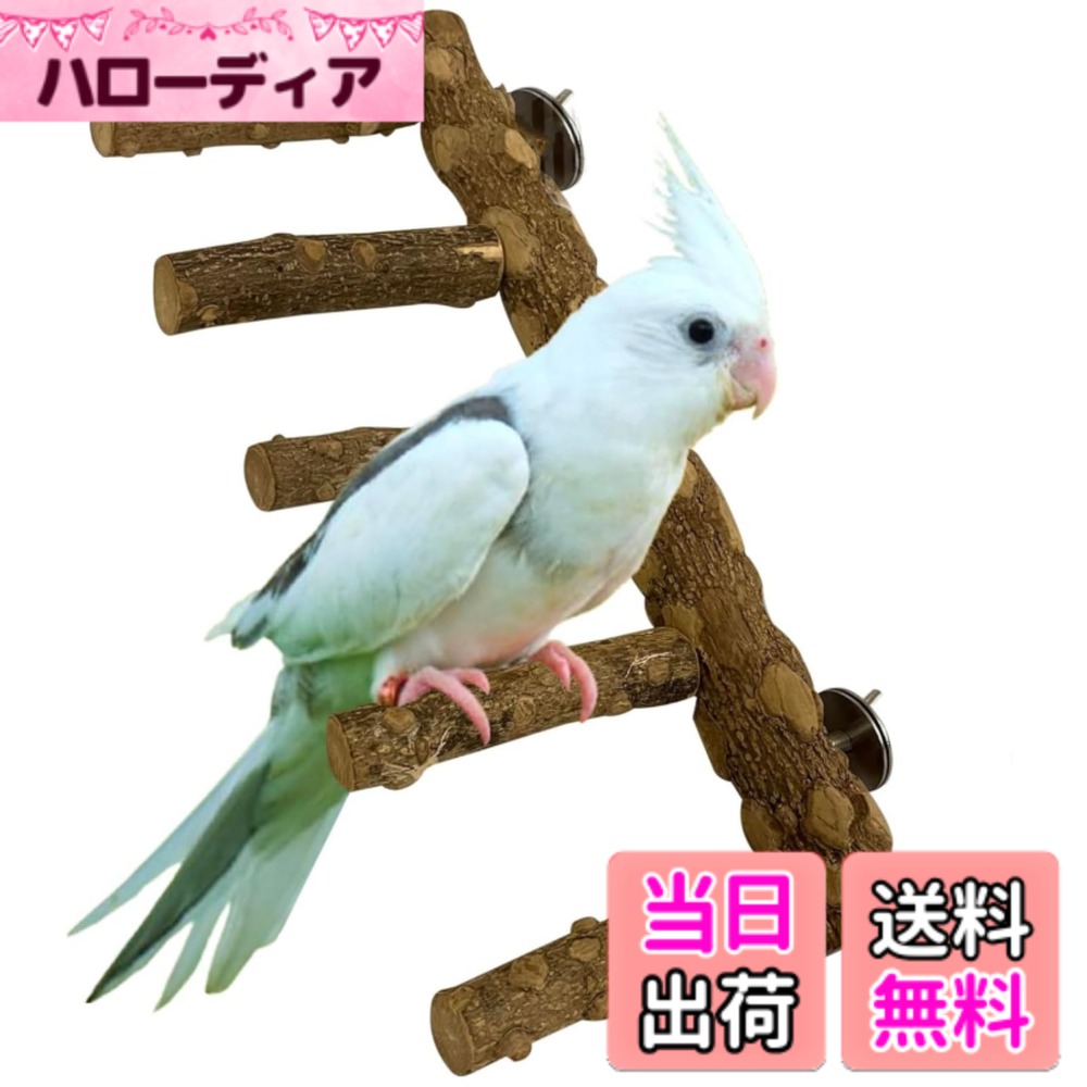 楽天市場】鳥 止まり木（インテリア・寝具・収納）の通販
