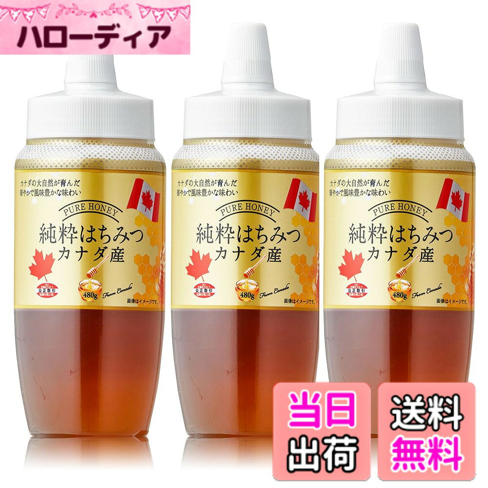 BeeWorks(ビーワークス) カナダ産純粋はちみつ 100％純粋 はちみつ ハチミツ 蜂蜜 honey カナダ Canada サイズ：1440g(480gx3)