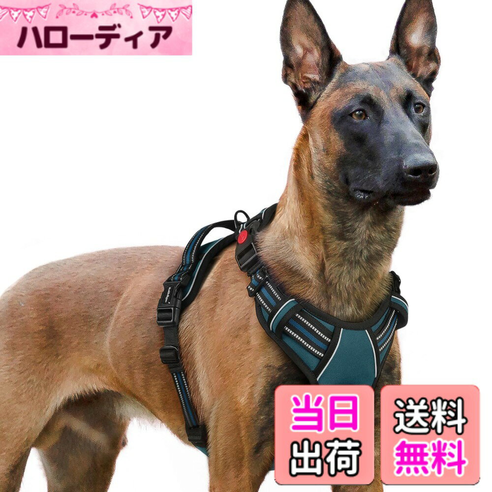 【送料無料】[最新型犬ハーネス]rabbitgoo 犬 ハーネス 犬用胴輪 小型犬/中型犬/大型犬ハーネス 引っ張り防止 サイズ調整可能 アタマを通さず 夜間反射材 抜けない 通気性 咳き込み防止 歩行補助ハーネス 老犬 介護用品 散歩 色：ダークグリーン、サイズ：XLサイズ (x 1) hellodear-11482302 ハローディア楽天市場店 パッケージ画像