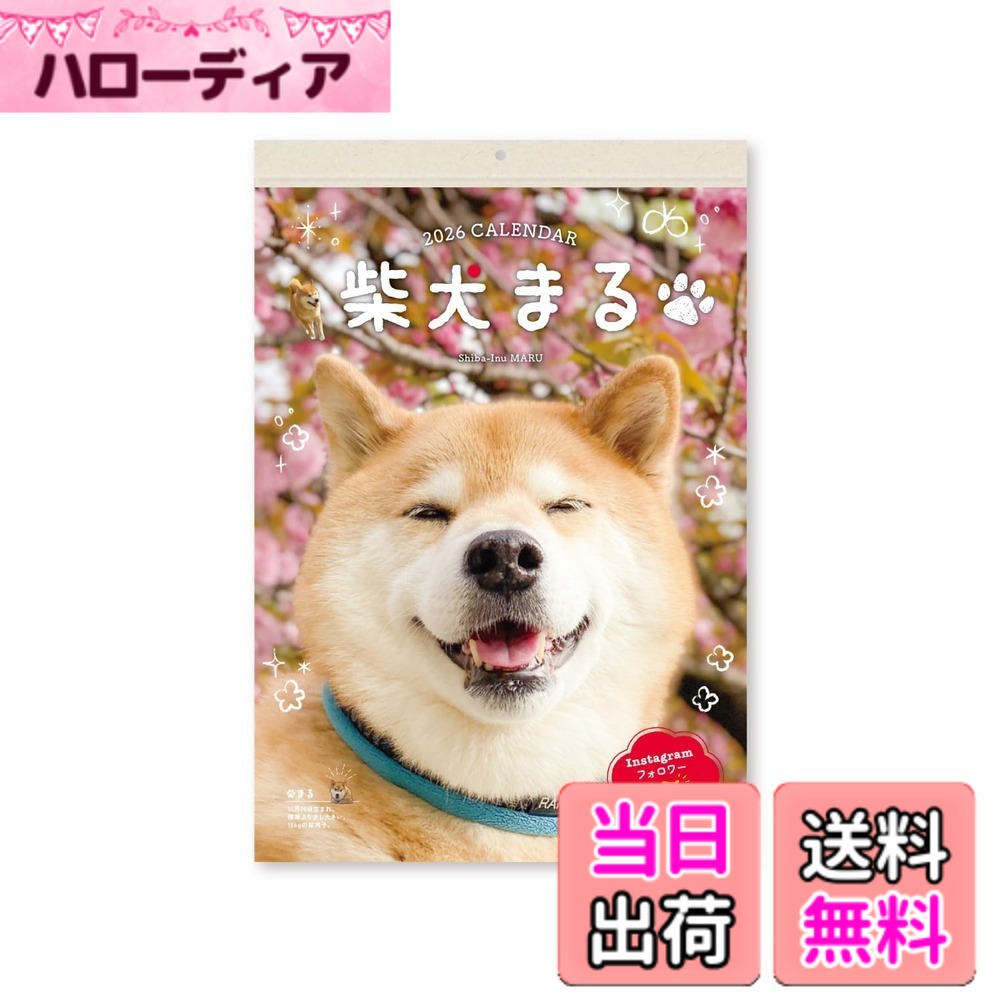 【送料無料】新日本カレンダー 動物 色：NK4010