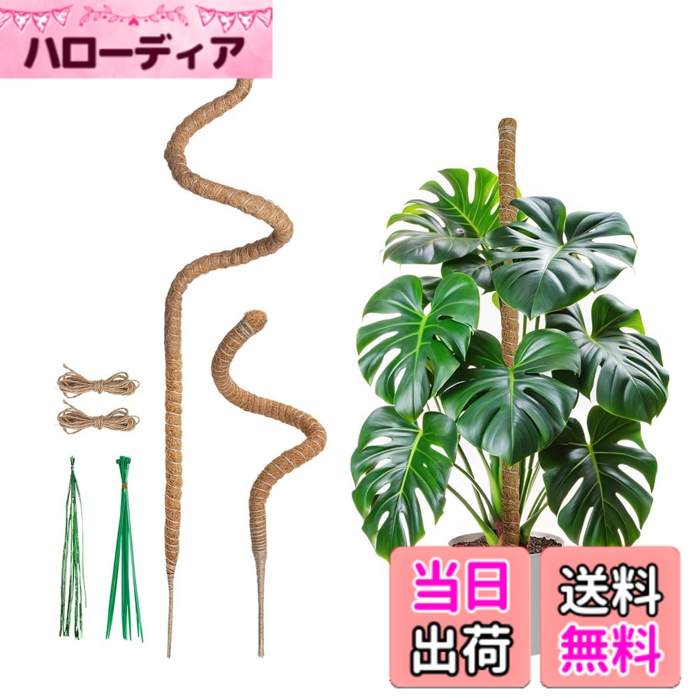 商品情報商品の説明主な仕様 製品仕様素材：ココナッツ、商品数：60CMの支柱1本、120CMの支柱1本、麻ロープ2本、プラスチックストラップ束1本、ワイヤーストラップ束。思いのままに曲げる：植物に合わせて、お好きな形に曲げてください。それに、支柱を土に簡単に挿して、枝をテープで締めるだけでいいです。排水性、保水性に優れる：この観葉植物支柱は、通気性と排水性に優れつつも保水性を確保する天然ココナッツ繊維で作られています。環境に優しく、植物の健康促進にも寄与します。このココナッツ支柱は内部にアルミロッドを備えており、植物に強固なサポートを提供します。植物が成長しても安心で、長期間の使用に適しています。取り付けしやすい：植物に合わせて、お好きな形に曲げてください。それに、支柱を土に簡単に挿して、枝をテープで締めるだけでいいです。お知らせ：植物を含まれておりません。使用する前に、下のトレーがしっかりと取付られることを確認してください。