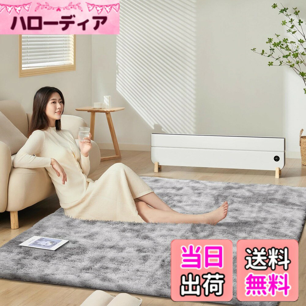 【送料無料】SOMANT カーペット ラグ 独自技術とデザインの抗菌防臭加工 色：ライトグレー xホワイト、サイズ：160 x 200 cm (長方形)