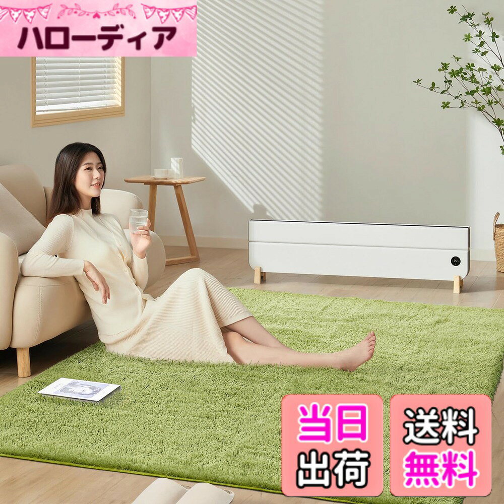 商品情報商品の説明SOMANT カーペット ラグ 2畳 独自技術の抗菌防臭加工 ラグマット シャギーラグ 絨毯 低反発 じゅうたん 滑り止め付き 厚手 防音 洗えるラグ 床暖房対応 ホットカーペット対応 マット リビング用 185x185cm グリーン主な仕様 【厚手仕様カーペット】サイズ：185x185cm 二畳 表地：ポリエステル100％ 35mm 中間層：ウレタンフォーム約10mm 裏面：不織布(滑り止め加工)約2mm　重量：約2.45kgbr【抗菌防臭ラグ】本社が独自に開発した抗菌技術が施されており、細菌や真菌の成長を抑制し、ラグを長期間清潔で衛生的に保つことができます。ラグの清掃の手間を減らすだけでなく、ご家族や友人を常に清潔で安全な環境に保つことができます。【滑り止め20%アップラグ】お子様や高齢者、ペットのいるご家庭の安全を確保するために、特別にゴムドットの厚みを強化しました。これにより、高齢者がカーペットの上を歩く際に滑る心配をせずに安心して歩けるようになり、お子様が遊ぶ際もより安全に走り回ることができます。また、犬が膝蓋骨脱臼を起こして動物病院に行く回数も減らすことができます。【圧縮可能なカーペット】お客様によりお得な商品を提供するために、圧縮して発送します。当社では圧縮可能な中層スポンジを採用しています。このようなスポンジは圧縮されてもすぐに元の形に戻り、折り目が残りません。多くの企業はコスト削減のために、圧縮配送のカーペットを製造する際、圧縮可能なスポンジを使用していないのです。このようなカーペットは折り目がさらに目立ち、元に戻りにくく、また、端が反り返るリスクもあります。また、圧縮によって内部構造が損なわれるため、そのようなカーペットは宣伝されているよりも薄くなることがあります。【品質】カーペットは出荷前には日本国内にてしっかり検品を行っておりますので、ご安心ください。万が一カーペットに不具合がある場合は、お気軽に当店までご連絡ください。※お客様ご注意：カーペット輸送の際に折りたたんでお届けするため、開封時に折りジワや歪み、寸法不足等の変形が生じる場合がありますが、三日間ほどご使用いただければ、ゆっくりと回復します。製品サイズに個体差があるため表記サイズより1-3％の誤差がある場合がございます。