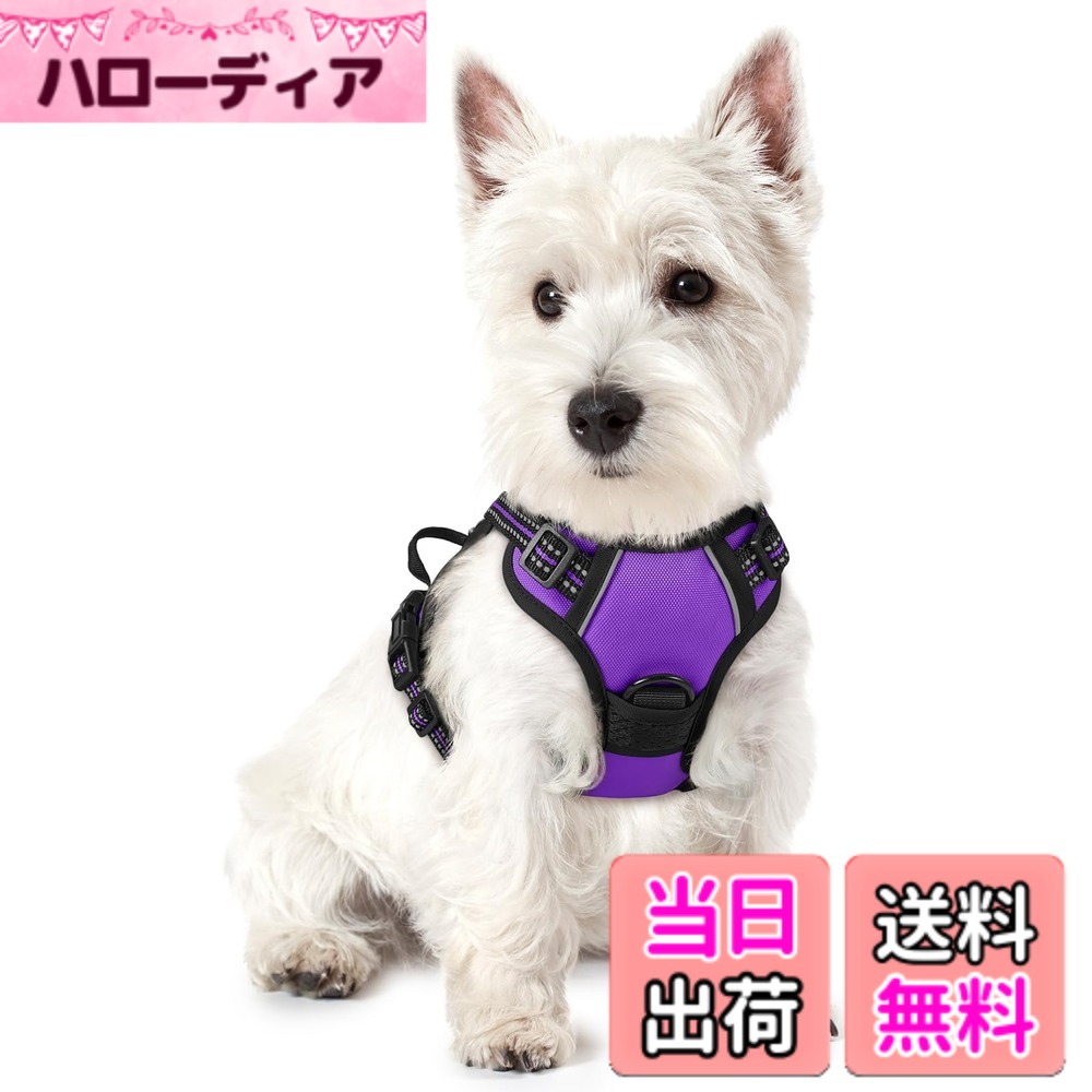 【送料無料】Rabbitgoo 犬 ハーネス 大型犬 首輪 20-32KG 引っ張り防止 サイズ調整可能 夜間反射材 抜けない 通気性 咳き込み防止 歩行補助ハーネス 老犬 介護用品 散歩 しつけ用 ソフト 犬 小型犬 中型犬 柴犬 色：パープル、サイズ：XSサイズ (x 1) hellodear-11510271 ハローディア楽天市場店 パッケージ画像