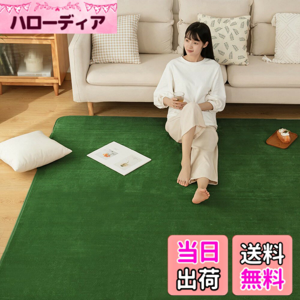 商品情報商品の説明主な仕様 【ラグマット仕様・注意事項】サイズ：約200x300cm （約4.5畳）　起毛の高さ：約4mm、ウレタン厚：約6mm、不織布と滑り止め加工は約1mm　表地：フランネル素材（ポリエステル100％） 裏地：不織布（ポリエステル100％・滑り止めドット付き）中材：ウレタンフォーム 【ご注意】商品輸送の際に折りたたんでお届けするため、開封時に折りジワ、歪み・寸法不足等の変形がありますが、約1週間ほどご使用になれば、ゆっくりと回復します。ラグサイズに個体差があるため表記サイズより1~4%の誤差がある場合がございます。モニターの発色の具合によって実際のものと色が多少異なる場合があります。また、生産ロットによりお色味の差が出る場合がございます。複数ご注文いただいた場合は、お色味が揃わない可能性がございます。【品質】ご使用中に何か問題があれば、弊社にご連絡いただければ迅速に対応いたしますので、安心してお買い求め頂けます。【フランネル素材・オールシーズン対応】 きめが細かく柔らかいマイクロファイバーを高密度で織り込みました。ふんわりと心地いい肌ざわりが特徴です。オールシーズン使えるフランネル素材絨毯が、光の加減や毛並みで色合いが変化します。【抗菌防臭・安全安心】肌が直接触れるラグだからこそ、安心してお使いいただけるように菌の繁殖や、臭いを抑制する抗菌防臭加工とダニの繁殖を抑制する効果のある防ダニ加工を施しています。当社の製品は薬剤等を使用して様々な加工を施しておりますが、身体に害になるような過剰な加工は、一切しておりません。低ホルマリン基準をクリアした当社の製品はアレルギーが気になる方やお子さまがいる家庭でも安心してお使いいただけます。【滑り止め加工・耐熱加工】カーペットの裏面にはゴム製の滑り止め加工が施してあり、フローリングに敷いても滑りにくく、お子さまやお年寄りのいるご家庭でも安心です。裏面には不織布を使用しているので、フローリングを傷から守ります。耐熱加工を施してあるのでホットカーペットや床暖房にも対応しております。【軽量設計・お手入れ簡単】適度な毛足の長さで、ゴミやほこりが絡まりにくい、掃除機で掃除することもできます。使っていると気になる汚れも、ご家庭で丸洗いができるから安心です。軽量だからお洗濯や模様替えの際の持ち運びもラクラク。※洗濯機洗いする前にお使いの洗濯機の指定容量等をご確認の上、洗濯してください。洗濯機に入らない場合は無理に押し込まず、手洗いしてください。