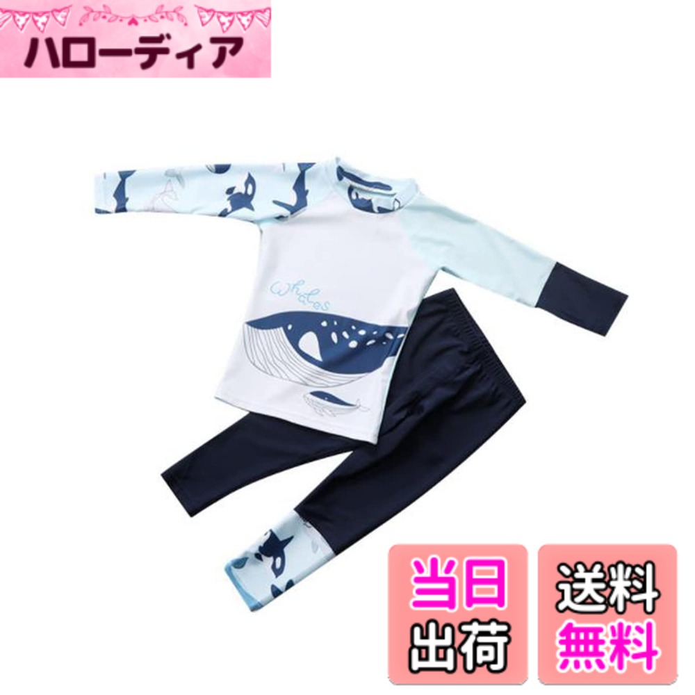 商品情報商品の説明主な仕様