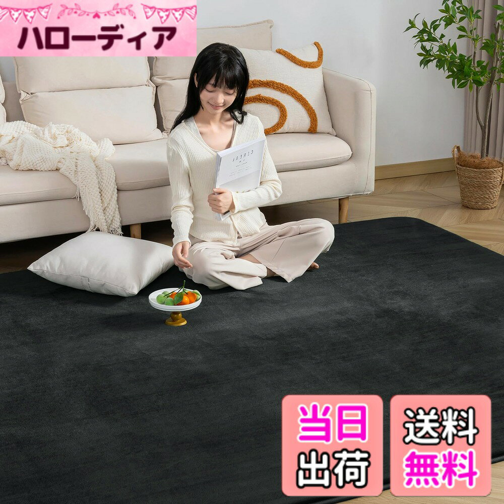 【送料無料】Keusnix 極厚25mm ラグ カーペット 厚手 ラグマット 滑り止め付 防音 絨毯 抗菌・防ダニ加工 オールシーズン ふわっと手触り 床暖房・ホットカーペット対応 色：ブラック、サイズ：200 x 245 cm (長方形)