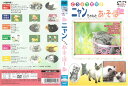 ニャンちゃんとあ・そ・ぼー 中古DVD_f ケース無し