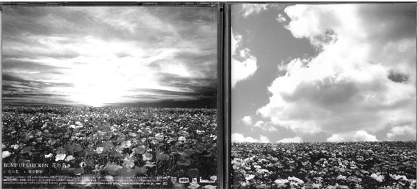 花の名/TFCC-89227　中古CD_m