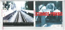 STANCE PUNKS DLCI-2011 中古CD_m