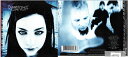 EVANESCENCE FALLEN(輸入盤) 和訳なし。 中古CD_m