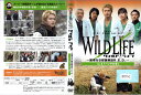 WILD LIFE -国境なき獣医師団R.E.D- vol.2「パンダの涙」【ケースなし】中古DVD_f