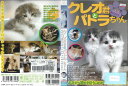 クレオ君とパトラちゃん「あなたも猫のまほうにかかってみませんか?」NCDV-01【ケースなし】中古DVD_f