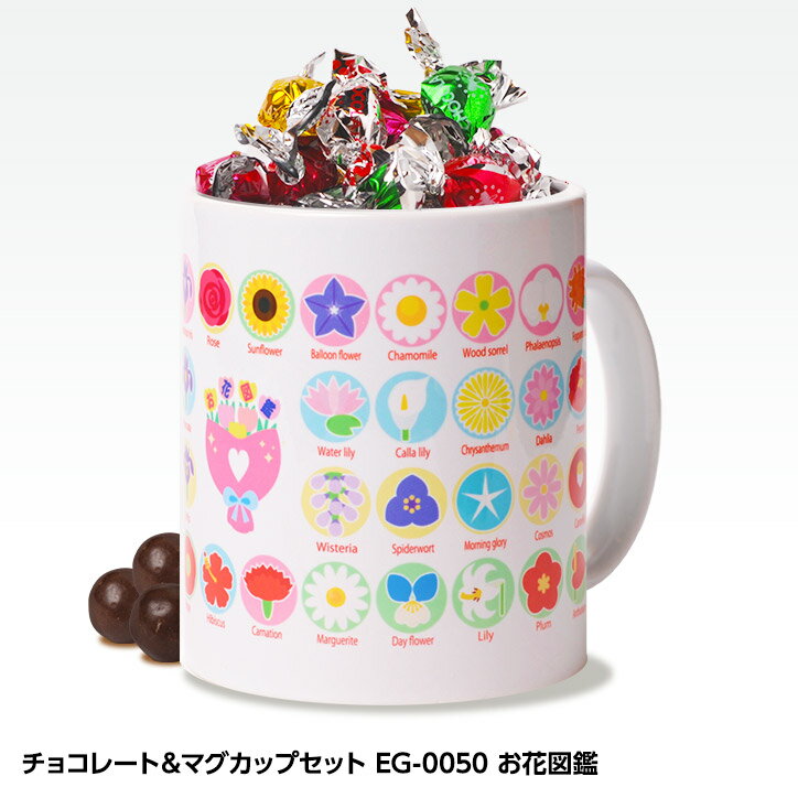 チョコレート＆マグカップセット EG-0050 お花図鑑 父の日 母の日 おもしろ チョコレート おもしろチョコ 面白い 雑貨 ギフト プレゼント ウケ狙い 子供 男の子