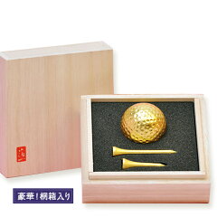 https://thumbnail.image.rakuten.co.jp/@0_mall/henkaq/cabinet/item/h/ha-a125-99021_1.jpg