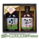 【ギフトセット】 梅酒ゴルフうめ～＆本格焼酎ピンそば 720ml 各1本 宮下酒造[おもしろ ゴルフ ...