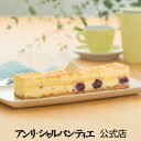 【ポイント2倍】《お届けは12/31迄》チーズケーキ＜チェリー＞|お菓子 スイーツ 洋菓子 手土産 グルメ プチギフト 個包装 かわいい 会社 退職 就職 快気 贈り物 入学祝い お返し 内祝い 出産内祝い 結婚祝い 退職 アンリ お歳暮 お年賀