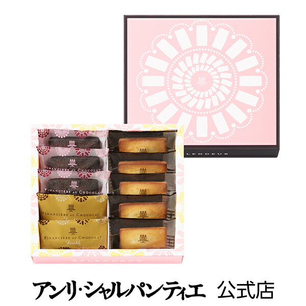 チョコレート ギフト バレンタイン スプランドゥール S 贈り物 お礼 お菓子 スイーツ 洋菓子 手土産 グルメ 高級 お届けは2/14迄 常温