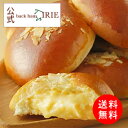 ハロウィン 秋の味覚 お返し 内祝い パン 冷凍 プレゼント 食べ物 スイーツ ギフト※同梱不可 ※冷凍 BICP-19A クリームパン5個【バックハウスイリエ-back haus IRIE-】