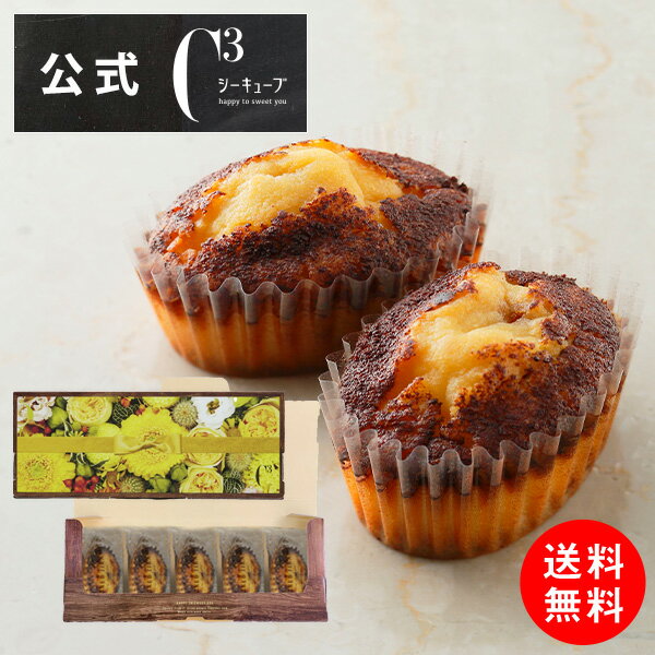 メール便 お試し お菓子 ギフト 送料無料 可愛い 取り寄せ スイーツ 洋菓子 お菓子 ギフト 1000円 1000円ぽっきり 自宅用 プレゼント 食べ物CYT-9PY焼きティラミス 5個入 ポストイン【シーキューブ-C3-】のサムネイル