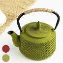 鉄瓶 南部鉄器 直火可 H調理器対応 急須 鉄分補給 やかん 鉄びん 鉄器 鋳物 ガス 電気コンロ 炭火 茶道道具 丸型 茶こし付き 断熱特性に加 伝統工芸品新築祝いや引越し祝い 贈り物には最適850ml グリーン レッド