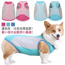 犬 服 クール ウェア 濡らして 着せる 濡らす メッシュ 冷感 ひんやり 瞬間 冷却 気化熱 犬服 夏服 小型犬 中型犬 タンクトップ ペットウェア 犬用 ベスト クールベスト 熱中症対策 暑さ対策 紫外線対策 UVケア 散歩 お出かけ 屋外