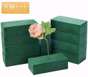 【高品質10個セット】フローラルフォーム ドライ セット 花 生け花 オアシス アクアフォーム 生花用 フラワーアレンジメント フローライト 水 吸う 吸水 花資材 スポンジ