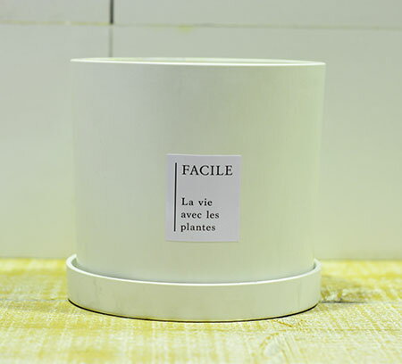 ホワイトテラコッタ(受皿付)