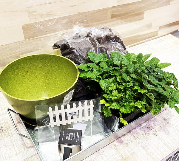 新春　エコポット　セット