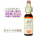 バッチフラワーレメディ レッドチェストナット 癒しグッズ-不安と恐れ 10ml 1本 その1