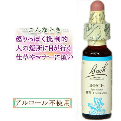 ob`t[fB r[` ObY-lCɂ 10ml 1{