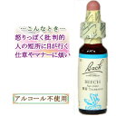 バッチフラワーレメディ ビーチ 癒しグッズ-他人を気にしすぎる 10ml 1本