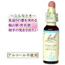 バッチフラワーレメディ チコリー 癒しグッズ-他人を気にしすぎる 10ml 1本