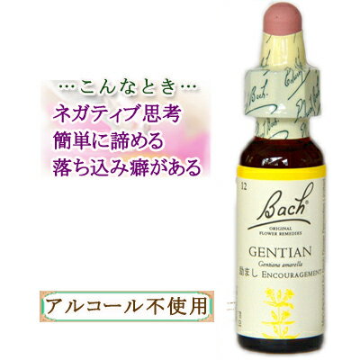 バッチフラワーレメディ ゲンチアナ 癒しグッズ-内心の不確かさ 10ml 1本