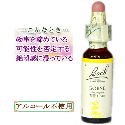 バッチフラワーレメディ ゴース 癒しグッズ-内心の不確かさ 10ml 1本