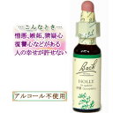 バッチフラワーレメディ ホリー 癒しグッズ-人や周囲に敏感 10ml 1本