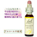 バッチフラワーレメディ ホーンビーム 癒しグッズ-内心の不確かさ 10ml 1本