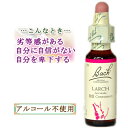 バッチフラワーレメディ ラーチ 癒しグッズ-失意と絶望 10ml 1本