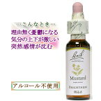 バッチフラワーレメディ マスタード 癒しグッズ-現実への無関心 10ml 1本