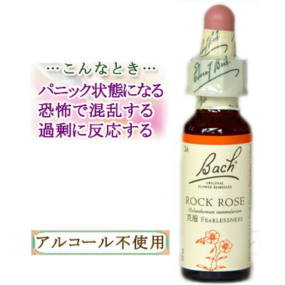 ob`t[fB bN[Y ObY-sƋ 10ml 1{