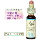 バッチフラワーレメディ ロックウォーター 癒しグッズ-他人を気にしすぎる 10ml 1本