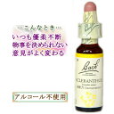 バッチフラワーレメディ スクレランサス 癒しグッズ-内心の不確かさ 10ml 1本