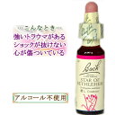 バッチフラワーレメディ スターオブベツレヘム 癒しグッズ-失意と絶望 10ml 1本